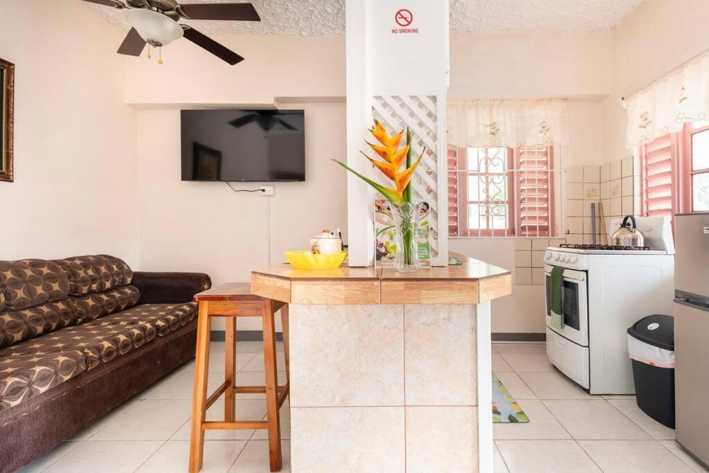 Shaw Park Gem Apt 12A Очо-Ріос Екстер'єр фото